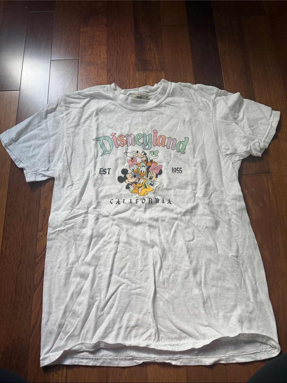 Comfort Colors White Disneyland California Graphic Tee